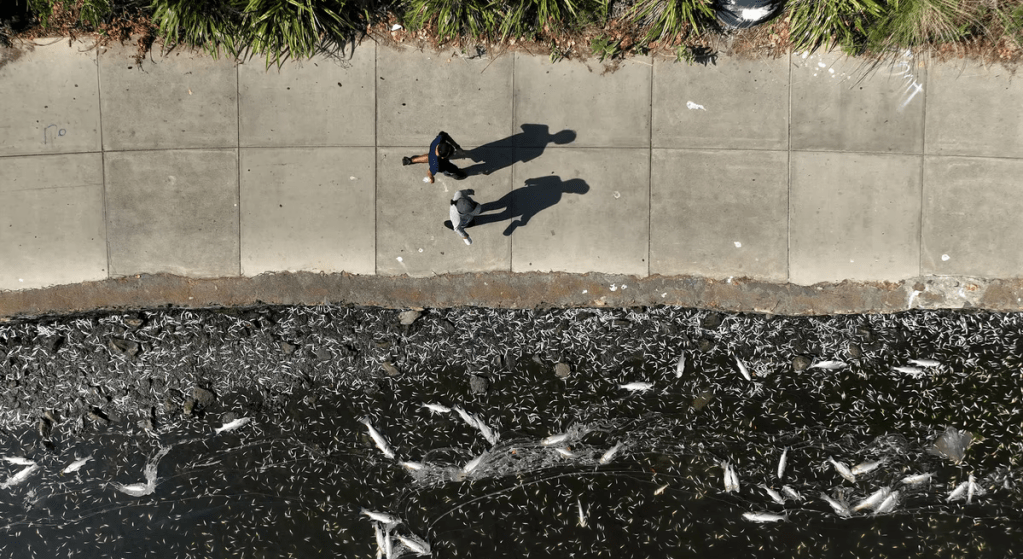 SÁNG TẠO TỐI DẠY 01 – BỜ LÝ&nbsp;THUYẾT