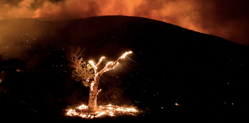 SÁNG TẠO TỐI DẠY 05 – CHUẨN BỊ (PHẦN&nbsp;03)