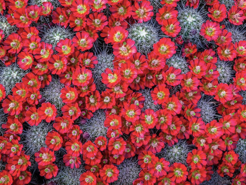 10 THÀNH TỰU&nbsp;2023